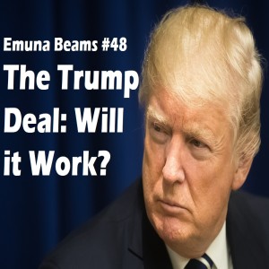 The Trump Deal: Will it Work?