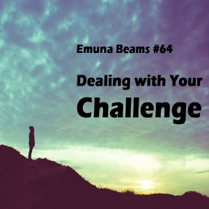 Dealing with Your Challenge