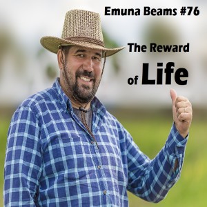 The Reward of Life