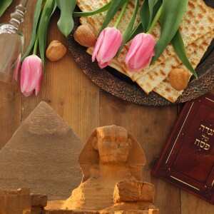 The Bread of Joy: Likutei Moharan II, Torah 24