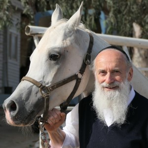 Chassidic Horse Tales