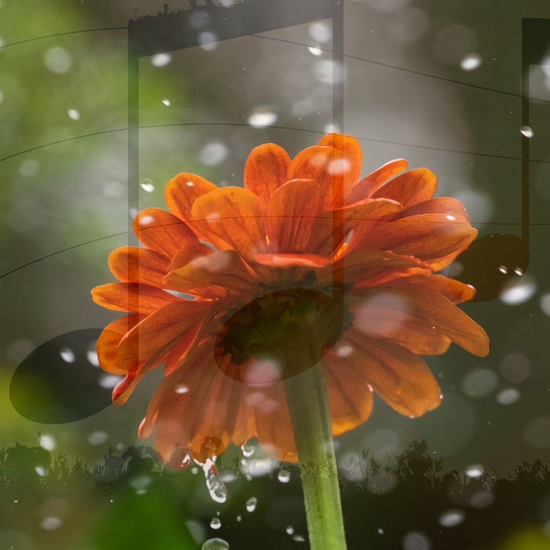The Rain's Song: Psalm 68