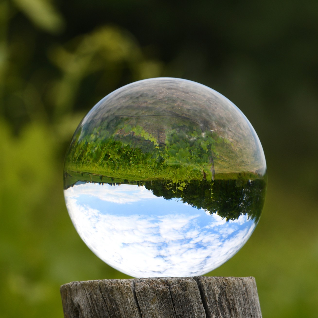 The Upside-Down World