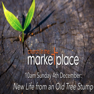 New Life from an Old Tree Stump -Sunday 4th December 2022