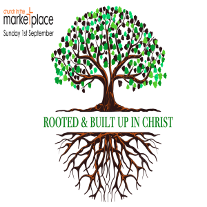 Rooted and Built up in Christ - Sunday 1st September 2024