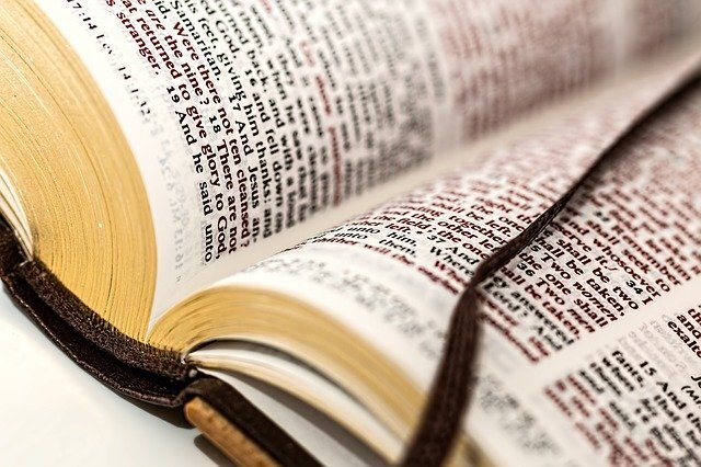 Sermon: Appointed for the Fall and Rising of Many (Christmas 1)