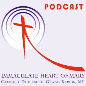 07-11-2021 Homily - Fifteenth Sunday in Ordinary Time
