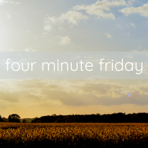 #17 Four Minute Friday - The Ideal In Your Heart