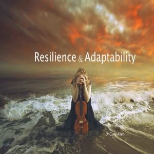 Resilience and Adaptability