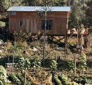 Randy Weaver & the Ruby Ridge Shit Show