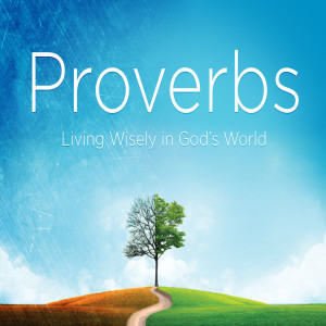 Proverbs 20-21  July 31st 2020