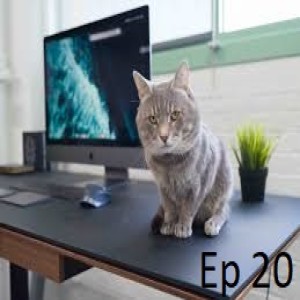 The Emerald Cast Podcast Ep: 20 - Andrew the cleaner