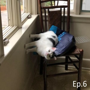 The Emerald Cast Podcast Episode: 6 - Coming into the decade late