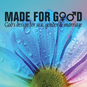 Made for Good | Part 4 | Made for Intimacy | Chris Voigt