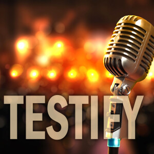 Testify (2024) | Chris Voigt