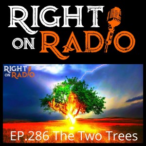EP.286 The Two Trees. Navigating the world and the Future!