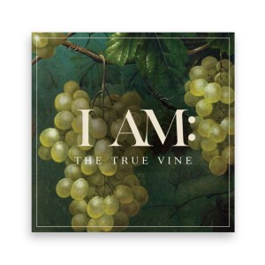 I AM: The True Vine