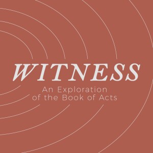 Witness: A New Community