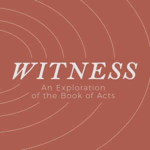 Witness Paul and Barnabas in Lystra