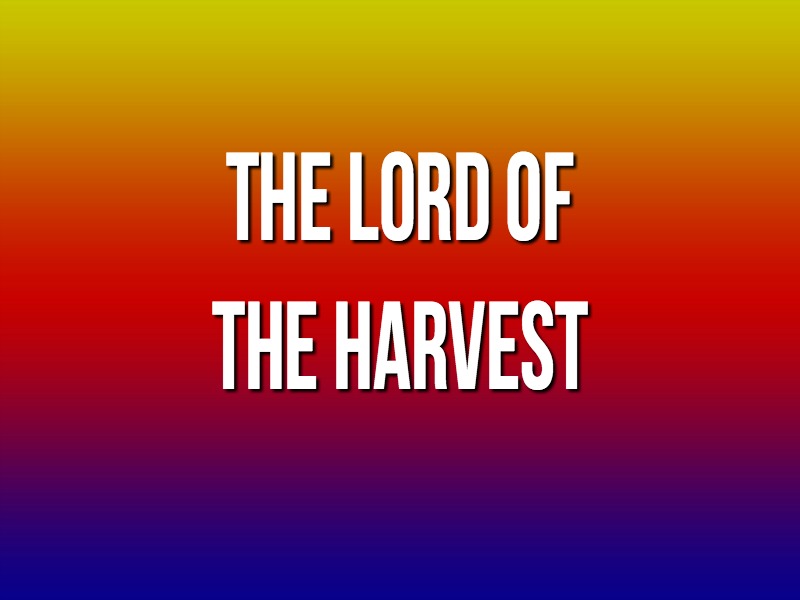 Pastor Ted Vail, Director of Foursquare Missions International | The Lord of The Harvest | 11/12/17