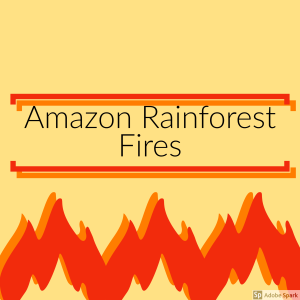 Amazon Fires and their Affect on the Amazon Rainforest