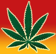 Vape Radio 93- Cannabis and CBD: the risks and rewards with attorney Christopher Van Gundy