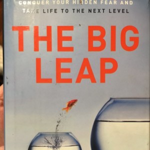 The Big Leap - How to Conquer Fear and Take Your Life to the  Next Level