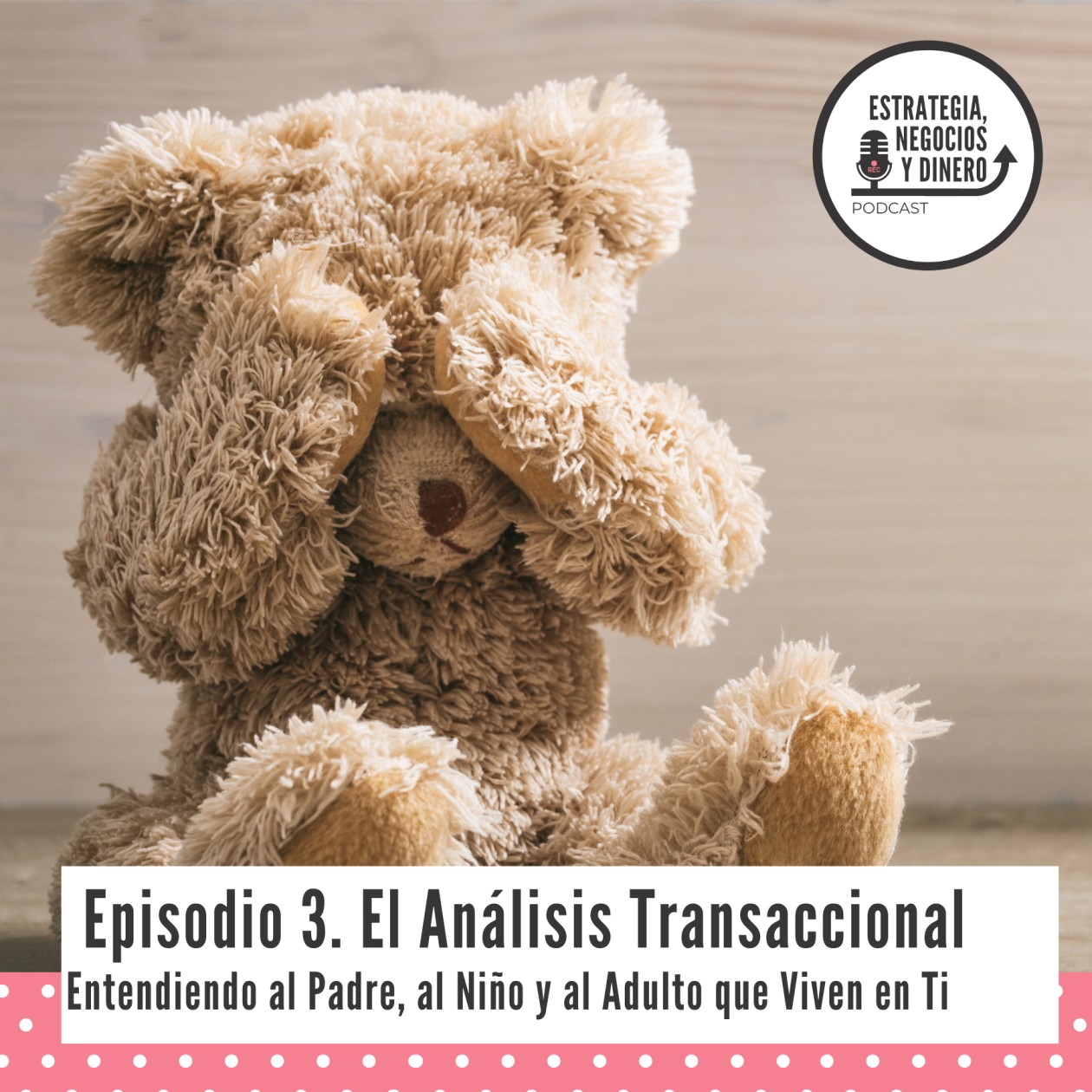 Estrategia, Negocios y Dinero Podcast