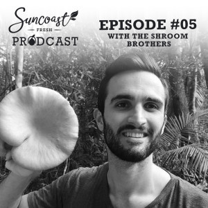 Episode 5: The Shroom Brothers