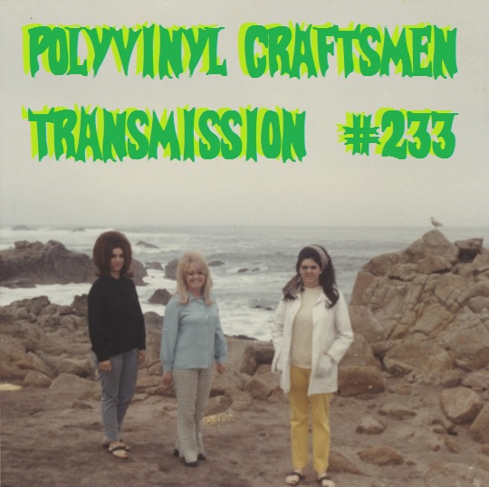 Polyvinyl Craftsmen Transmission 233