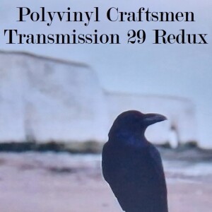 Polyvinyl Craftsmen Transmission 29 Redux