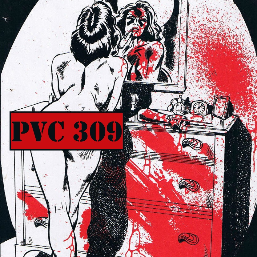 Polyvinyl Craftsmen Transmission 309