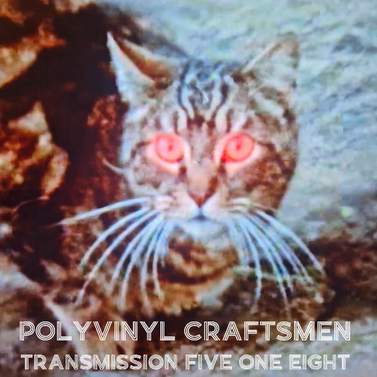 Polyvinyl Craftsmen Transmission 518