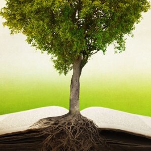 Rooted in God