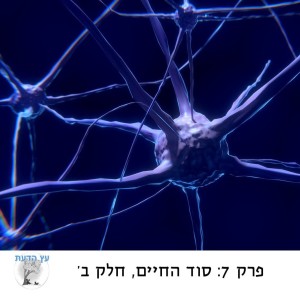 פרק 7: סוד החיים, חלק ב