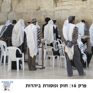 פרק 16 - חוק ומסורת ביהדות