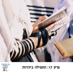 פרק 17: התפילה ביהדות