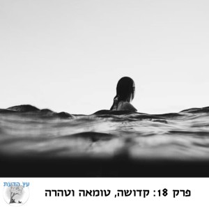 פרק 18: קדושה, טומאה וטהרה