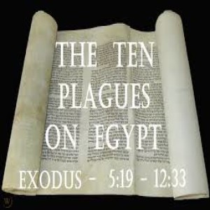 God’s Purpose in the Plagues (Pastor Winston Bosch)