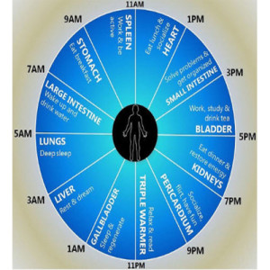 The Human Body Energy Clock (04-09-20)