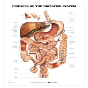 Gastrointestinal Mind Con-trol, Part 2 (03-18-21)