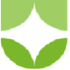 Commercial Auto Insurance
