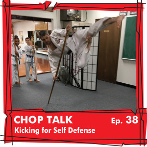 CT038 Kicking for Self Defense