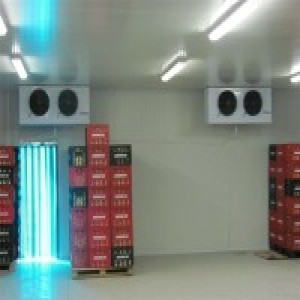 Reason To Add Cold Storage Room To Your Commercial Space