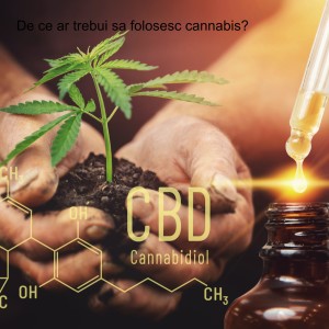 De ce ar trebui sa folosesc cannabis?