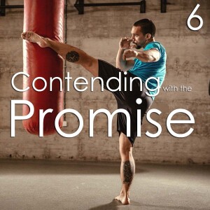 Contending with the Promise - 6