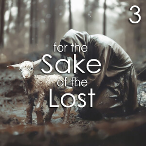 For the Sake of the Lost - 3