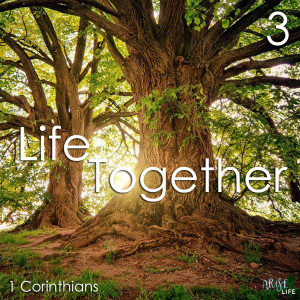 Life Together - 1 Corinthians 3