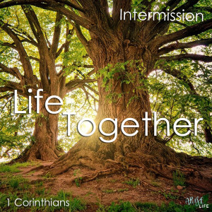 Life Together - Intermission