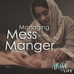 Mess in the Manger